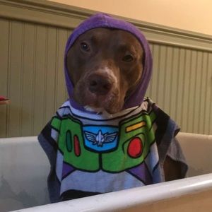 Meet your Posher, Maddie